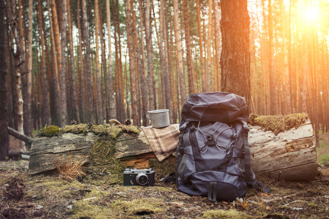 Expedition Expedition