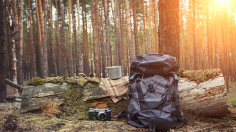 Expedition