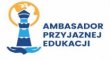 ambasador 110x60