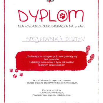 dyplom bieg na lap