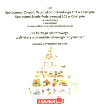 piramida zdrowia dyplom
