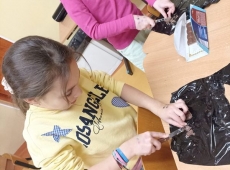 23img-20250331-wa0010