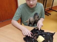 23img-20250331-wa0011