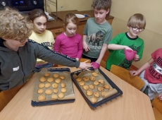 23img-20250331-wa0012