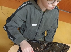 23img-20250331-wa0015