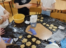 23img-20250331-wa0019