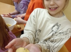 23img-20250331-wa0021