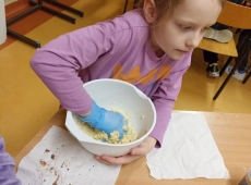 23img-20250331-wa0025