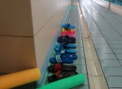 swimming_show2015032