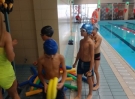 swimming_show2015037
