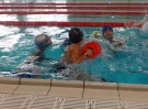 swimming_show2015042