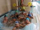 swimming_show2015076