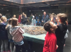 wycieczka_pieniny_020