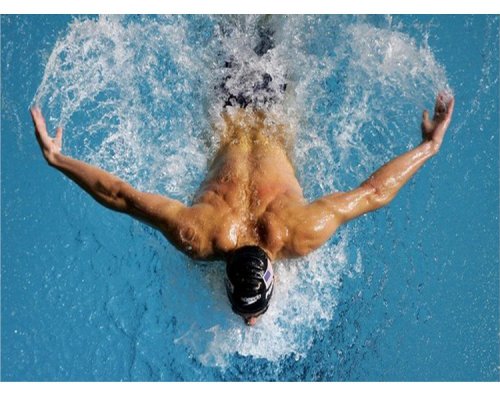 Zawody pływackie „101 Swimming Show”