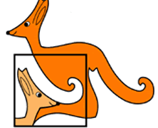 Kangur Matematyczny – wyniki