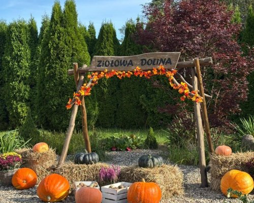 (Polski) Integracja w Ziołowej Dolinie
